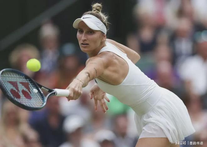 应性分析 应性分析